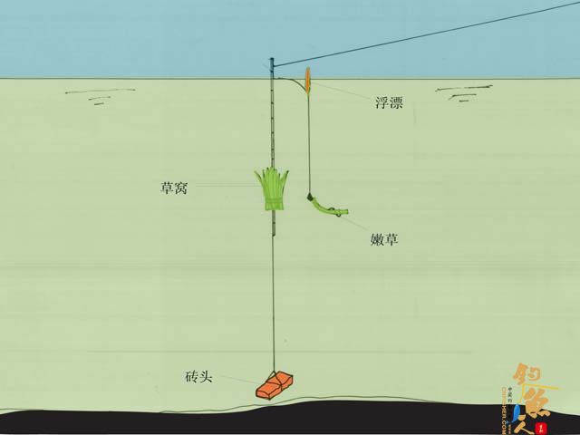 四川农民兄弟的独特钓法之草鱼探鱼器 又名 三岔湖农民的草鱼探鱼器
