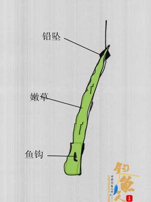 四川农民兄弟的独特钓法之草鱼探鱼器 又名 三岔湖农民的草鱼探鱼器